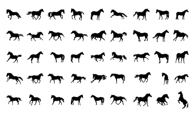 Sammlung von pferdesilhouetten auf weißem hintergrund premium vector