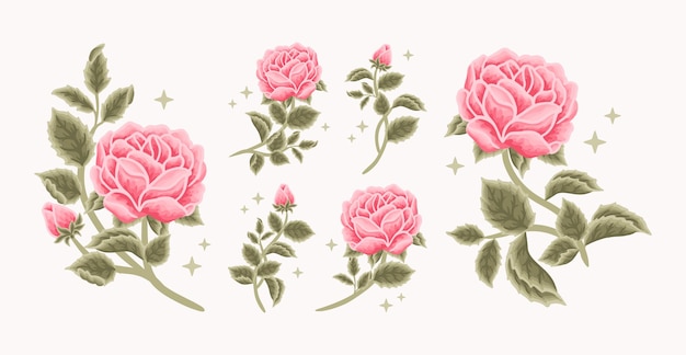 Sammlung von romantischen rosafarbenen rosen- und pfingstrosenblumen femininen logo-beauty-label-elementen