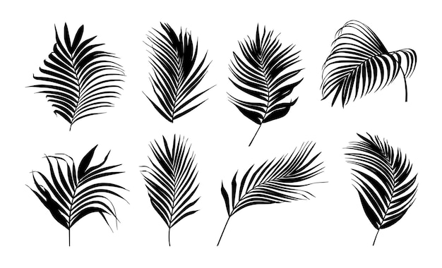 Sammlung von Schattenbild-Palmenblättern