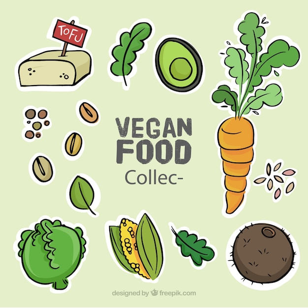 Sammlung von skizzen köstlich veganes essen