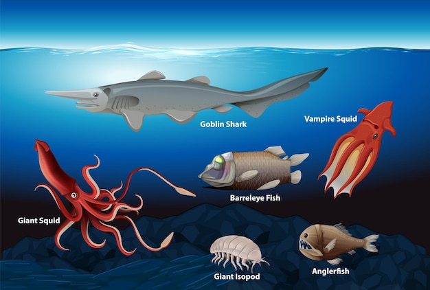 Vektor sammlung von tiefseekreaturen