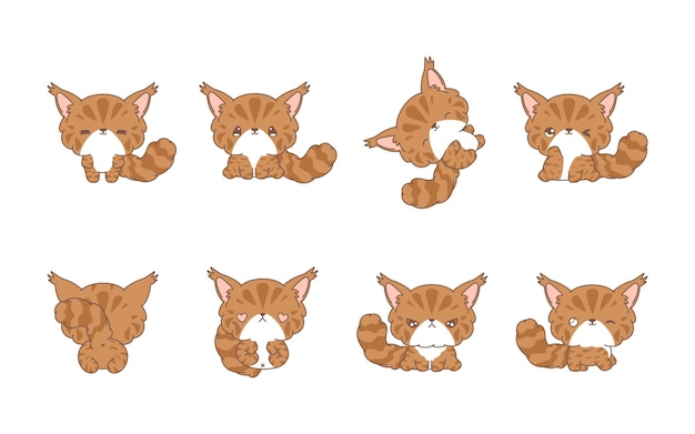 Vektor sammlung von vektor-cartoons maine coon katze kunst-set von kawaii isolierten kätzchen illustrationen für