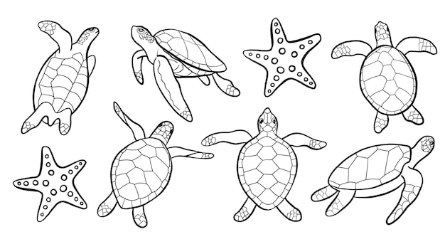 Sammlung von Vektoren für die Silhouette von Seeschildkrötenlinien