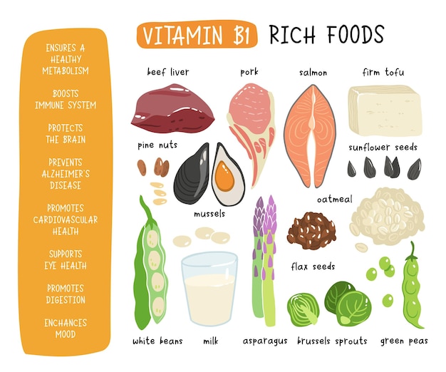 Vektor sammlung von vitamin-b1-quellen thiaminhaltige lebensmittel tofu haferflocken leber schweinefleisch bohnen erbsen muscheln lachs spargel leinsamen rosenkohl diätprodukte bio-ernährung