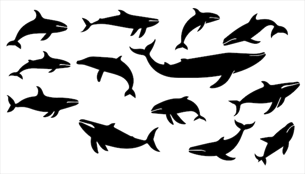 Sammlung von Wal- und Delfinsilhouetten