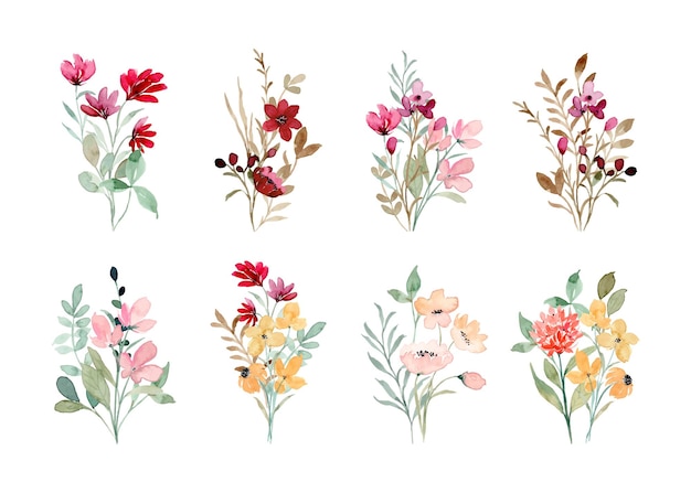 Sammlung von Wildblumenstrauß mit Aquarell