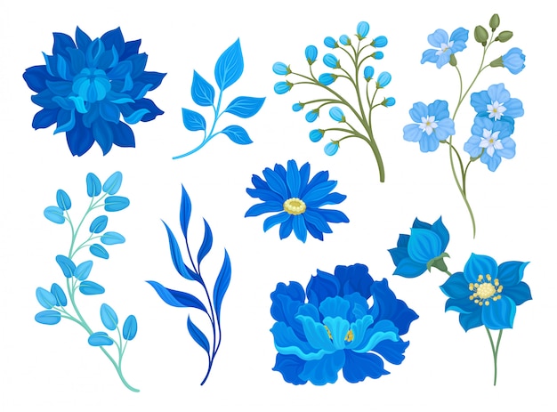 Sammlung von Zeichnungen von blauen Blumen und Blättern. Illustration auf weißem Hintergrund.