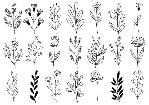 Sammlung Waldfarn Eukalyptus Kunst Laub natürliche Blätter Kräuter im Linienstil. Elegante Illustration der dekorativen Schönheit für gezeichnete Blume des Entwurfs Hand
