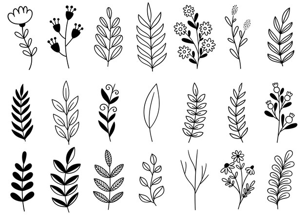 Sammlung Waldfarn Eukalyptus Kunst Laub