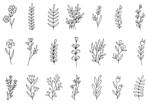 Sammlung Waldfarn Eukalyptus Kunst Laub