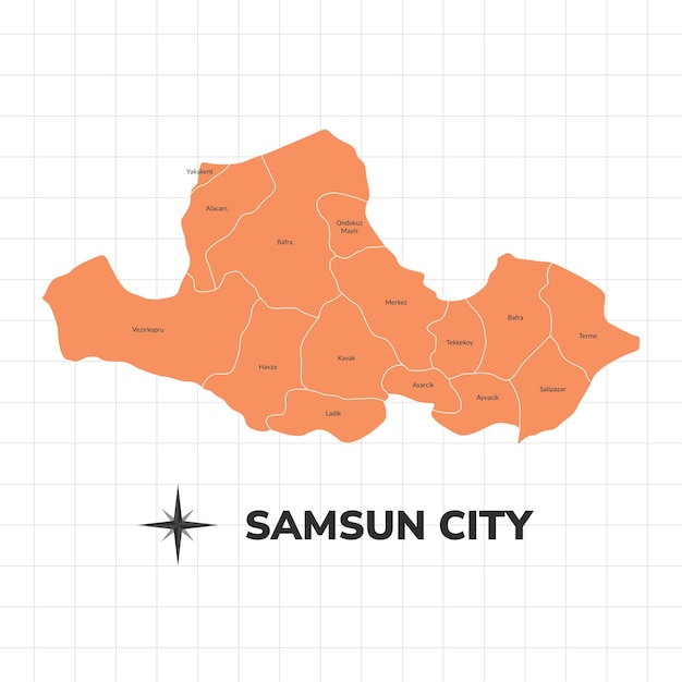 Vektor samsun stadtkarte illustration karte der stadt in der türkei