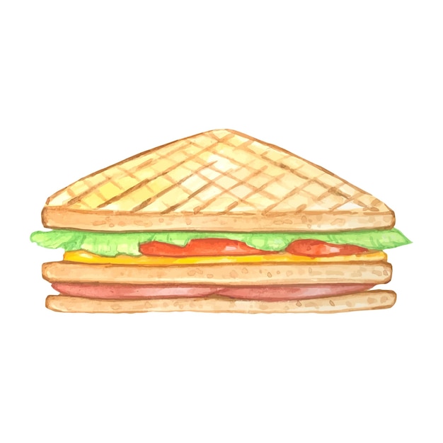 Vektor sandwich-aquarellillustration