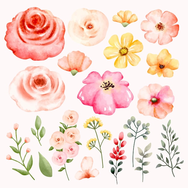 Satz Aquarellblume und -blatt