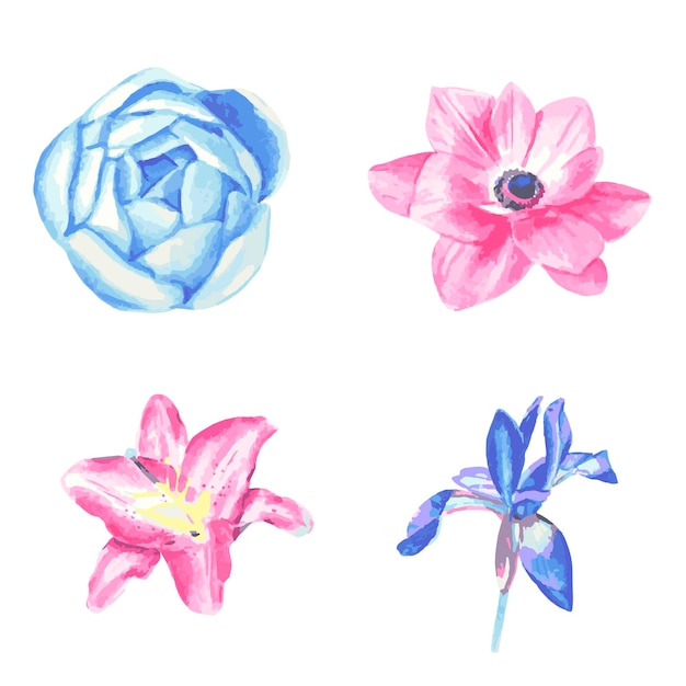 Satz aquarellblumen, blaue pfingstrose, blaue iris, rosa anemone, rosa lilie