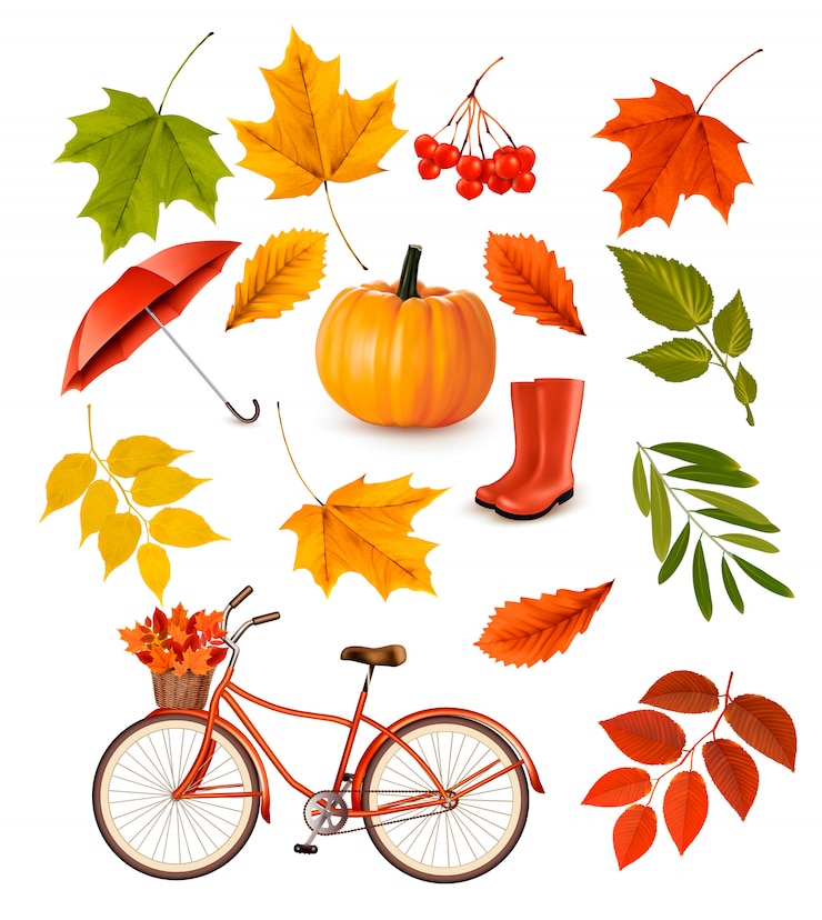 Satz bunte Herbstblätter und Gegenstände. Illustration.