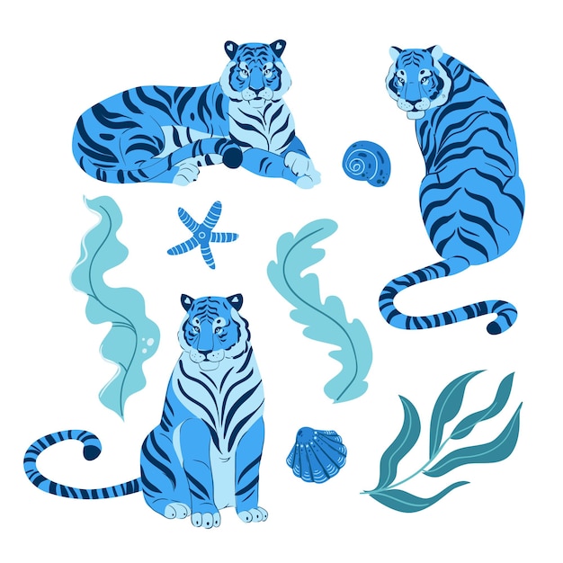 Satz der flachen Illustration des erwachsenen großen blauen Tigervektors lokalisiert auf weißem Hintergrund