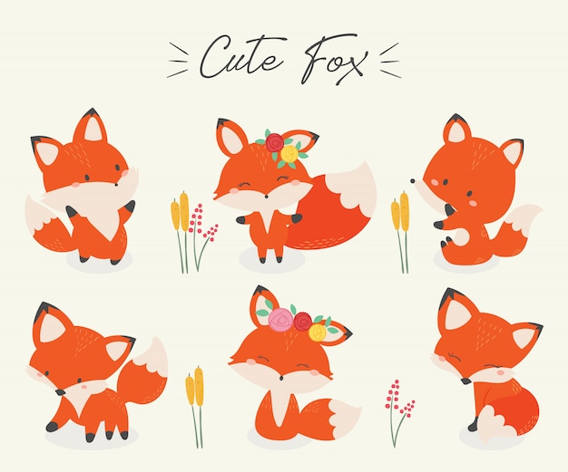 Satz der netten Fuchsvektorillustration.