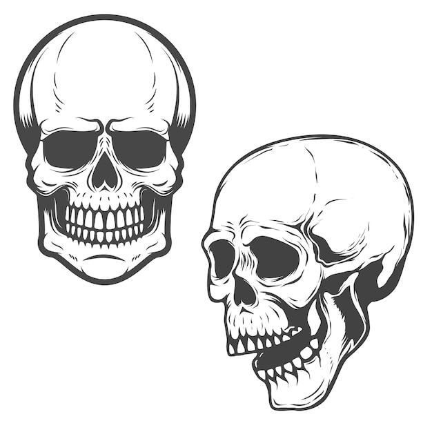 Satz der schädel auf weißen hintergrundelementen.