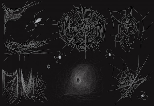 Satz des unterschiedlichen realistischen Vektordünnen Spinnennetzes