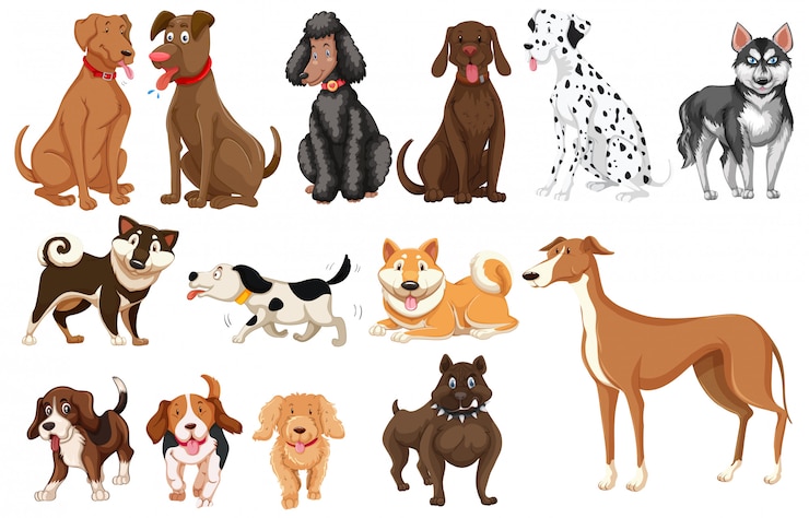 Vektor satz des weißen hintergrundes der hunde
