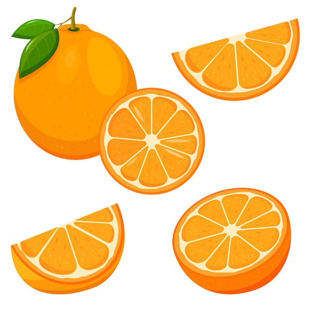 Satz frische ganze, halbe, geschnittene Orangenfrucht der Scheibe lokalisiert auf weißem Hintergrund. Mandarine. Bio-Obst. Flacher Stil. Vektorillustration für jedes Design.