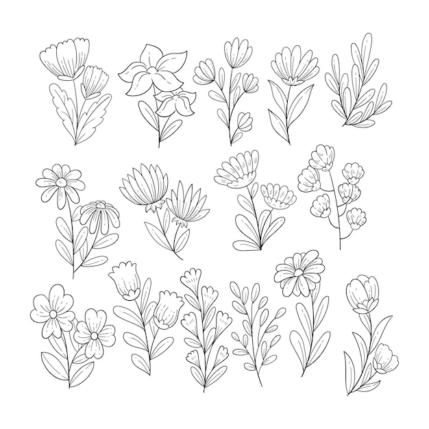 Satz Frühlingsblumen-Skizzen-Illustrationssammlung
