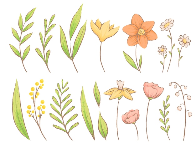 Satz Frühlingskräuter, Pflanzen und Blumen. Nachahmung von handgemachtem Aquarell. Auf einem weißen Hintergrund isoliert.