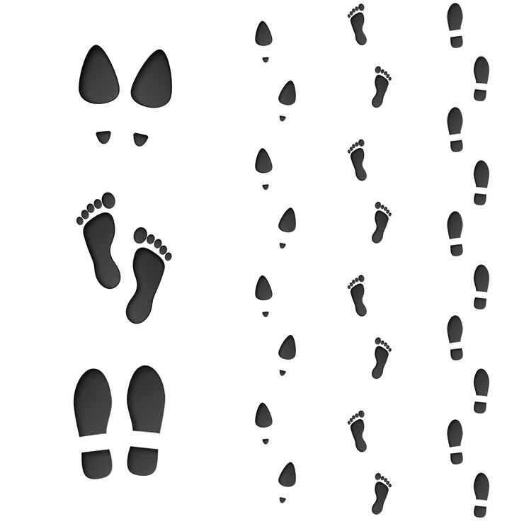 Vektor satz fußabdruck. männliche, weibliche und barfüßige tuschensilhouette. illustration auf weißem hintergrund