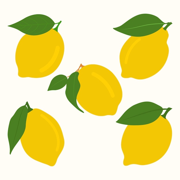 Satz gelber orangefarbener Vektorillustrationen mit grünem Blatt