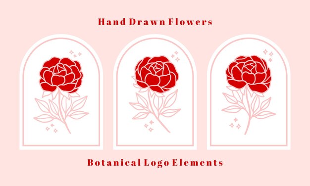 Satz handgezeichnete rosa botanische rosenblume, pfingstrose und blattzweigelemente für weibliches logo und schönheitsmarke