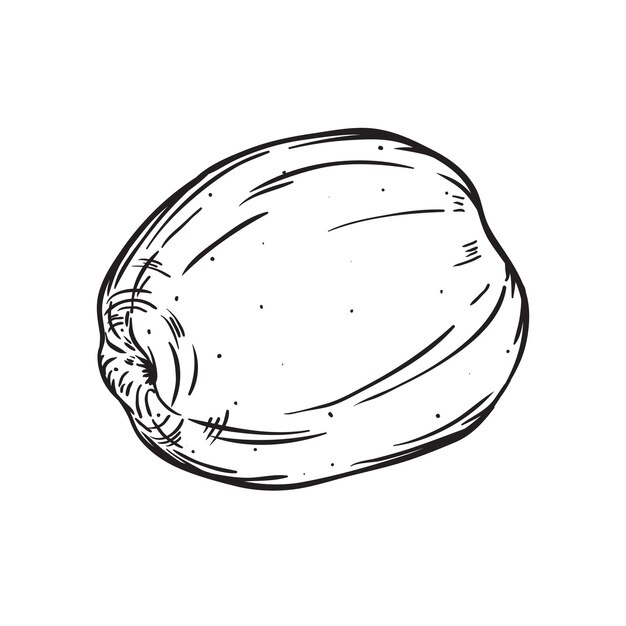 Satz handgezeichneter Doodle-Apfelillustration in Skizze