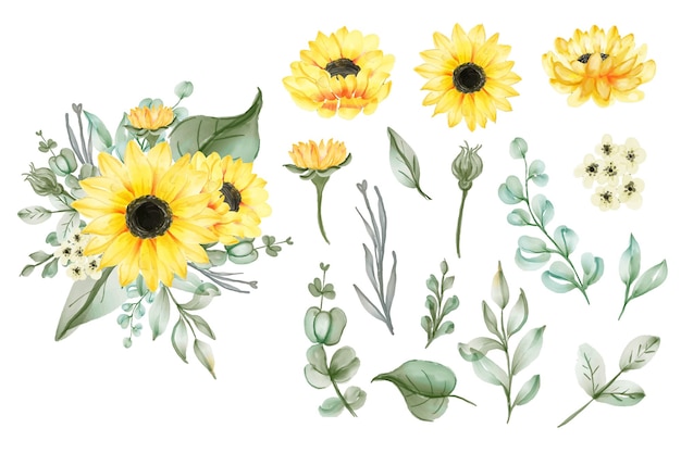 Satz isolierte gelbe Sonnenblumen und Blätter des Aquarells