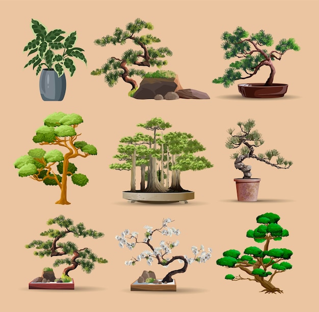 Vektor satz japanischer bonsai-bäume, die in containern angebaut werden schöner realistischer baum baum im bonsai-stil bonsai-baum auf dem roten feld dekorative kleine baumvektorillustration naturkunst