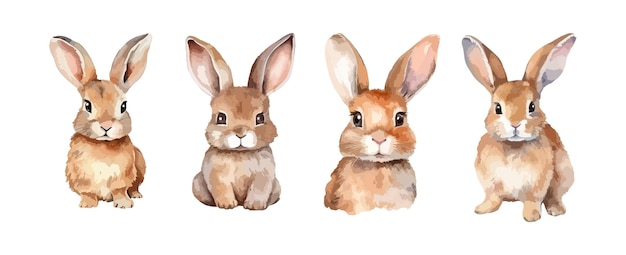 Satz Kaninchen- oder Hasen-Aquarell isoliert auf weißem Hintergrund Vektorillustration