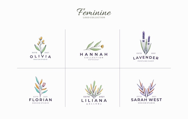 Satz minimalistischer & schöner weiblicher botanischer logoschablone