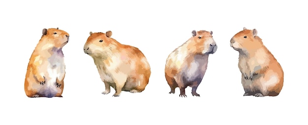 Satz niedlicher capybara-tier-aquarell isoliert auf weißem hintergrund vektorillustration