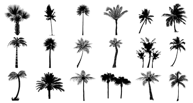 Satz Palmensilhouetten isolierter Vektor auf weißem Hintergrund