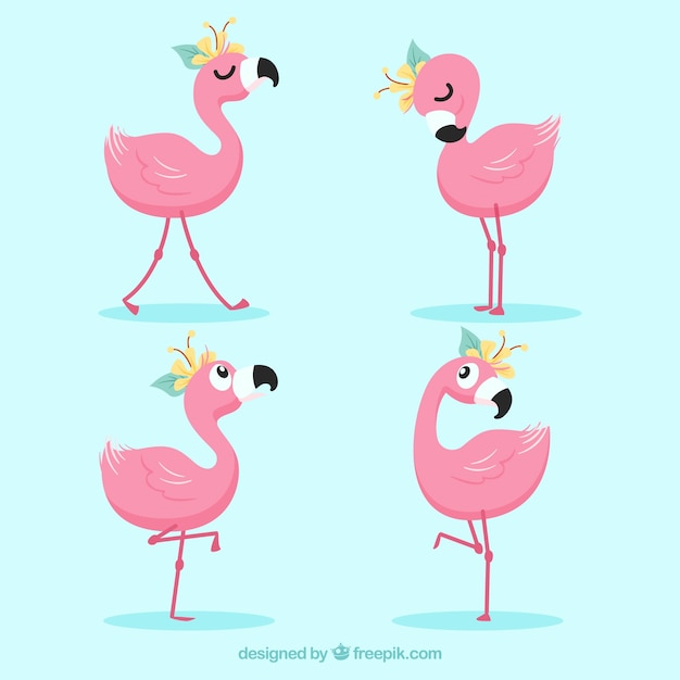 Satz rosa flamingos mit verschiedenen lagen