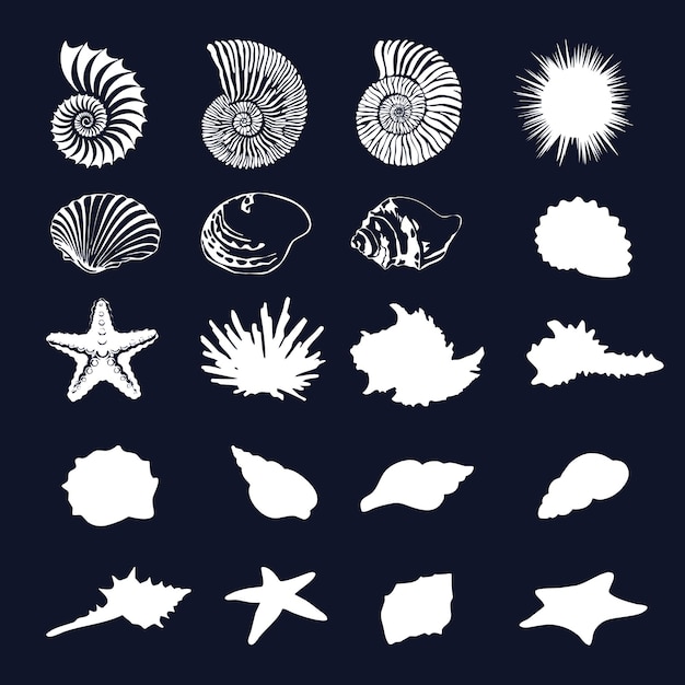 Satz silhouetten verschiedener muscheln, korallen und ora-sterne (20 stück)