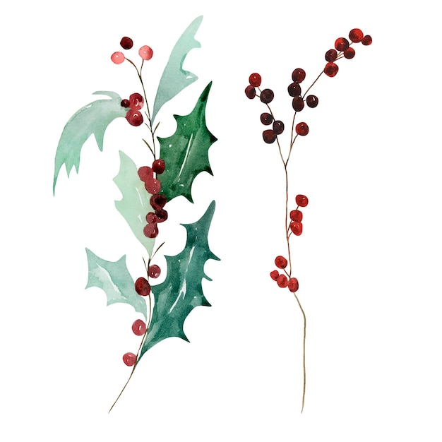 Satz traditionelle Winterzweige des Aquarells mit Blättern und Beeren für modernes Weihnachten