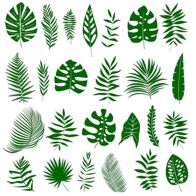 Satz tropischer Blätter in Silhouetten Palm Monstera Bananenbaumfarn