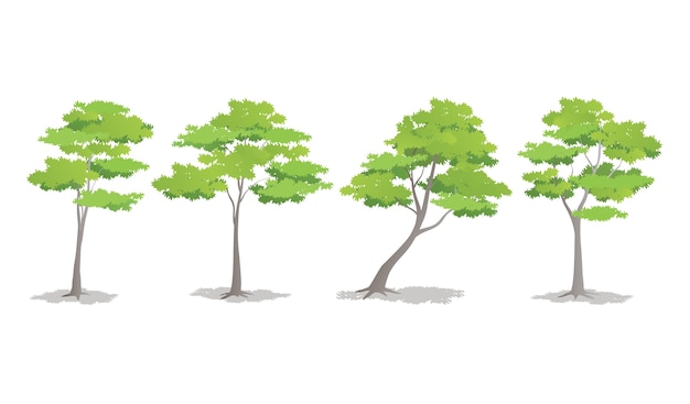 Satz verschiedene formen von bäumen