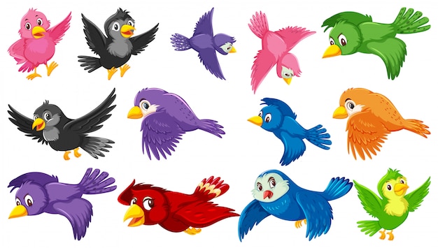 Satz Vogelzeichentrickfigur