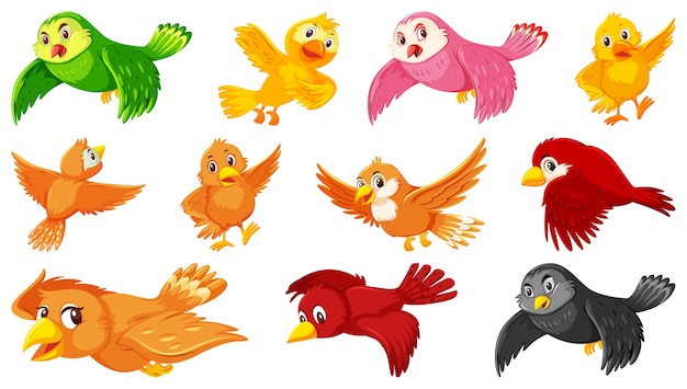 Satz Vogelzeichentrickfigur
