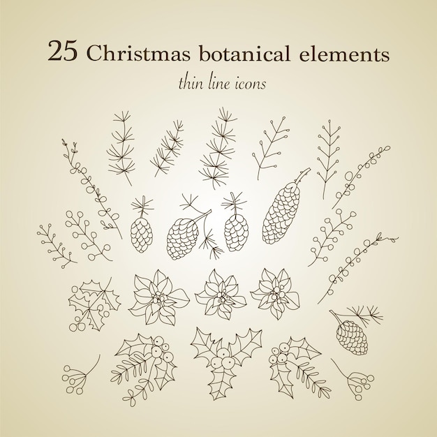 Satz von 25 weihnachtlichen botanischen symbolen