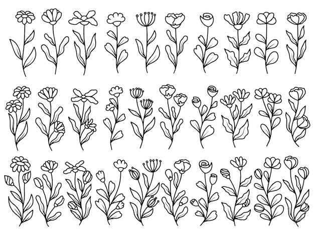 Satz von botanischen blatt wildblumen strichzeichnungen illustration