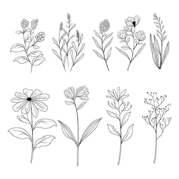 Satz von botanischen Blattdoodle Wildblumen Strichzeichnungen