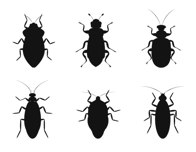 Vektor satz von bugs insekten isolierte vektorsilhouetten