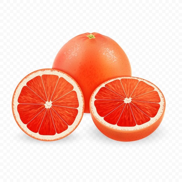Satz von d-Vektor realistischen Vektor Grapefruit ganzes Stück und Scheibe isoliert auf weißem Hintergrund