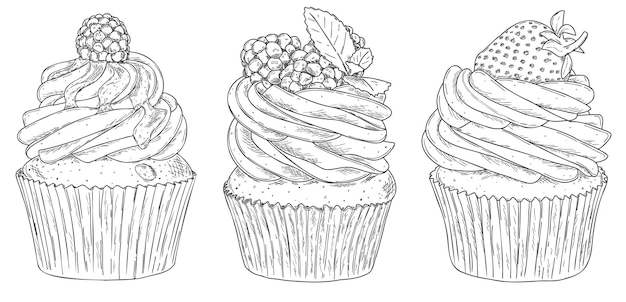 Satz von drei handgezeichneten Skizzen verschiedener Cupcakes mit frischen Beeren
